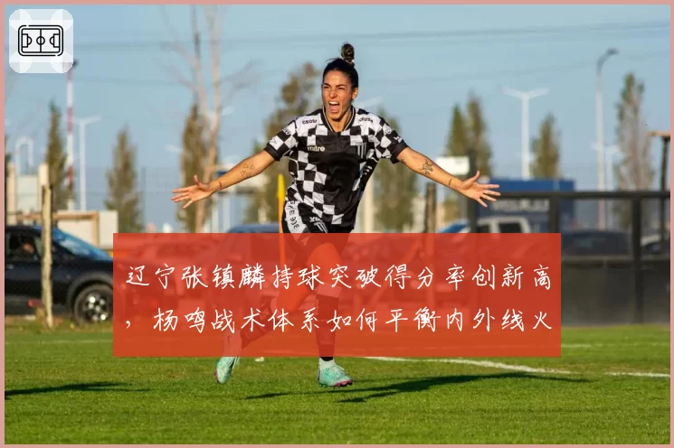 辽宁张镇麟持球突破得分率创新高,杨鸣战术体系如何平衡内外线火力?