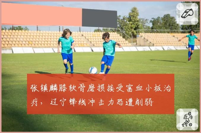张镇麟膝软骨磨损接受富血小板治疗，辽宁锋线冲击力恐遭削弱