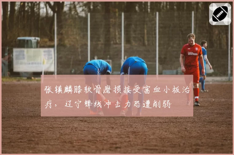 张镇麟膝软骨磨损接受富血小板治疗，辽宁锋线冲击力恐遭削弱