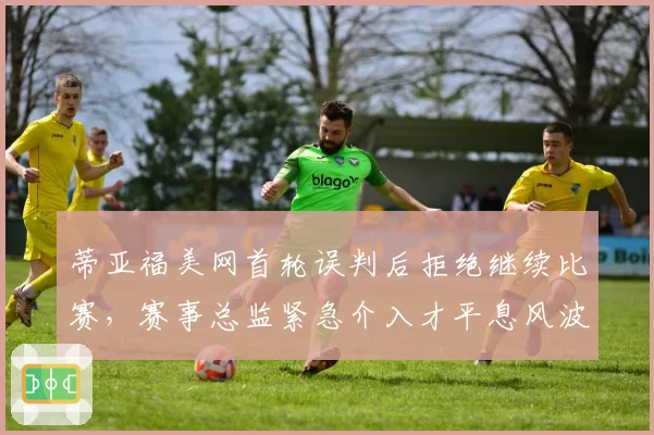 蒂亚福美网首轮误判后拒绝继续比赛，赛事总监紧急介入才平息风波